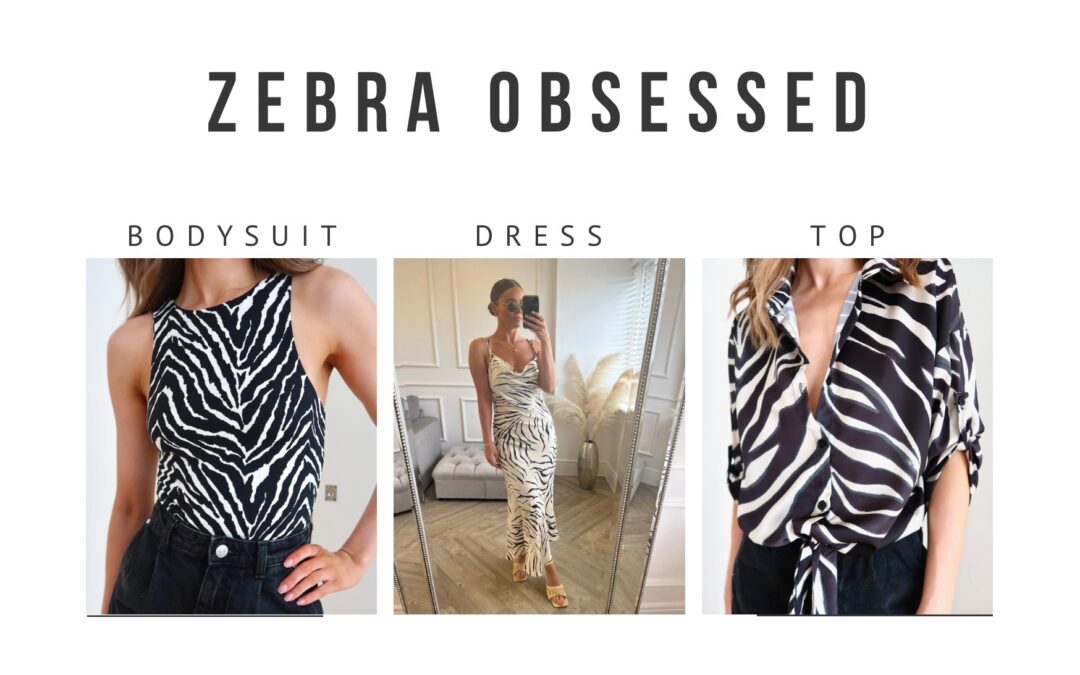 zebra obsessed
