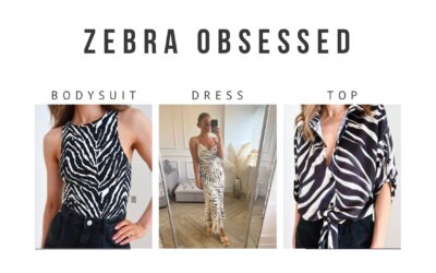 Zebra Obsessed!