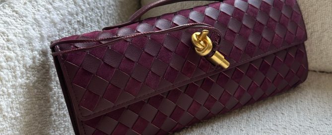 Burgundy Long Clutch Bag